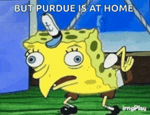 a cartoon of spongebob squarepants is walking on a grassy field .