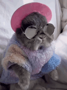 Pet Lover GIF