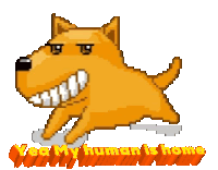 Yeamyhumanishome Doggy Sticker - Yeamyhumanishome Doggy Sogladyourehome Stickers