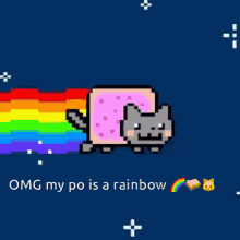 hoooo omg my po is a rainbow dog cute rainbow