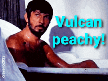Vulcan Peachy Leonard Nimoy GIF - Vulcan Peachy Leonard Nimoy Mr Spock GIFs