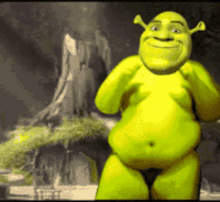 Irtfou Shrek GIF - Irtfou Shrek Irtfoubifle GIFs