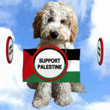 Support Palestine Palestine Flag GIF