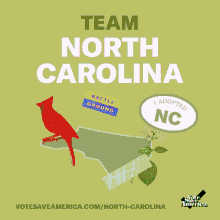 Team North Carolina Crooked Media GIF - Team North Carolina Crooked Media Adopt A State GIFs