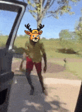 Deer Deer-xing GIF