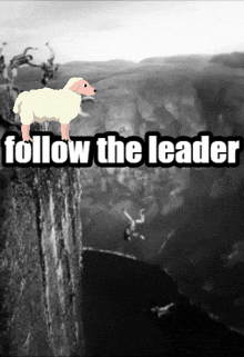 a sheep is standing on a cliff with the words follow the leader below it