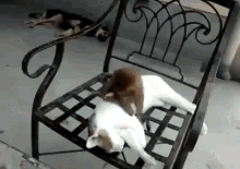 Get Up And Play! GIF