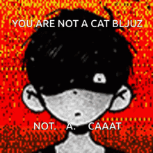 cat not