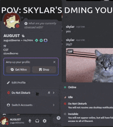 a screenshot of skylar 's dming you with a cat on the screen