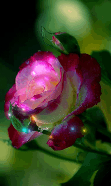 Glittering Rose Pink Rose GIF - Glittering Rose Pink Rose Magical GIFs