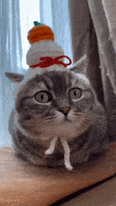 a cat is wearing a knitted hat with an orange ball on top .