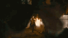 Mothica Nocturnal GIF