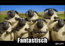Shaun Das Schaf: Fantastisch GIF - Applause Clapping Shaun The Sheep GIFs