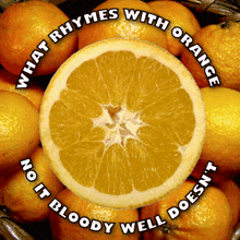 What Rhymes With Orange No It Does Not GIF - What Rhymes With Orange No It Does Not Half An Orange GIFs