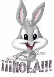 Sunday Hola GIF - Sunday Hola Bugs Bunny GIFs