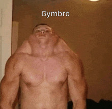 Gymbro GIF