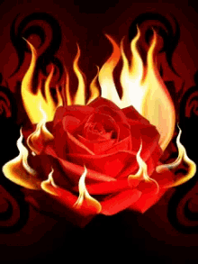 Fire Rose GIF - Fire Rose GIFs