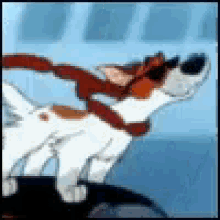 Dogs Ride GIF - Dogs Ride Car GIFs