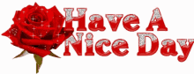 Have A Nice Day Red Rose GIF - Have A Nice Day Red Rose Glitter GIFs