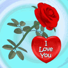 love you and miss you miss you my love miss and love you miss you rose love you rose