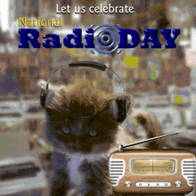 National Radio Day GIF - National Radio Day Radio Day GIFs