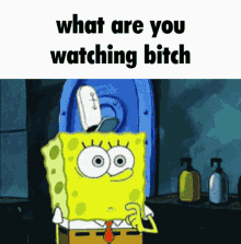 spongebob patrick star what are you watching funny meme