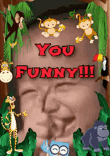 Funny Face You Funny GIF