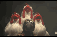 Gonzo Shocked GIF - Gonzo Shocked Muppets GIFs
