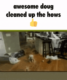 Dog Clean Up House Meme GIF - Dog Clean Up House Meme Funny GIFs