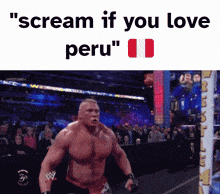 Peru Scream GIF - Peru Scream Scream If You Love GIFs