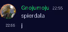 a screenshot of a video game with the name gnojumoja written on it