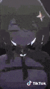 a girl with a star on her head is on a tiktok advertisement
