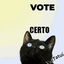 Vote Certo Valtatui Cat GIF - Vote Certo Valtatui Cat Staring GIFs