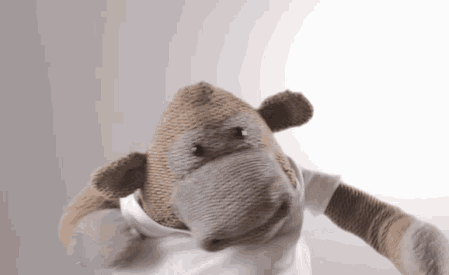 Pg tips hot sale sock monkey