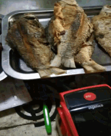 a red ingenico device sits next to some fish