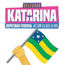 sergipe bandeira delegada katarina5505
