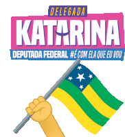 Sergipe Bandeira Sticker - Sergipe Bandeira Delegada Katarina5505 Stickers