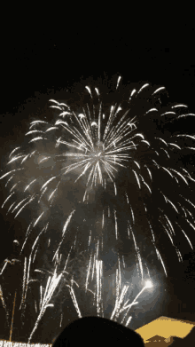 Celebrate New Year GIF - Celebrate New Year Fireworks GIFs