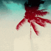 a painting of a palm tree with red leaves