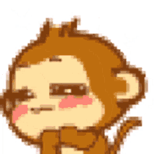 monkey yoyo