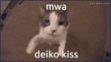 Deiko Deiko Love GIF - Deiko Deiko Love Deiko2024 GIFs