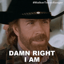 Damn Right I Am Cordell Walker GIF - Damn Right I Am Cordell Walker Walker Texas Ranger GIFs