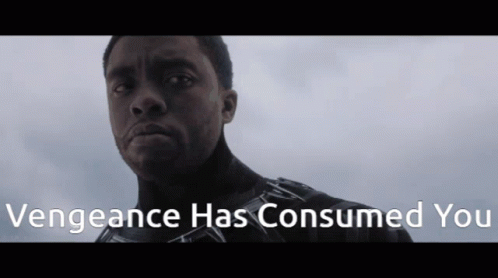 Black Panther Vengeance Has Consumed You GIF - Black Panther ...