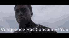 Black Panther Vengeance Has Consumed You GIF - Black Panther Vengeance Has Consumed You Vengeance GIFs