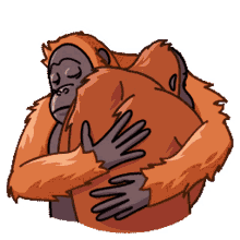 telegram orangutan
