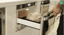 Microwave Turkey GIF