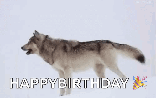 Happy Birthday (GIF) – Red and Howling