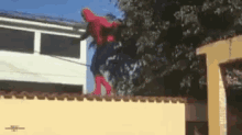 Spiderman Lol GIF - Spiderman Lol Incredible GIFs