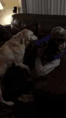 a man is laying on a couch with a dog on his lap