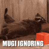 Mugi Raccoon Mugi Ignoring GIF - Mugi Raccoon Mugi Ignoring GIFs